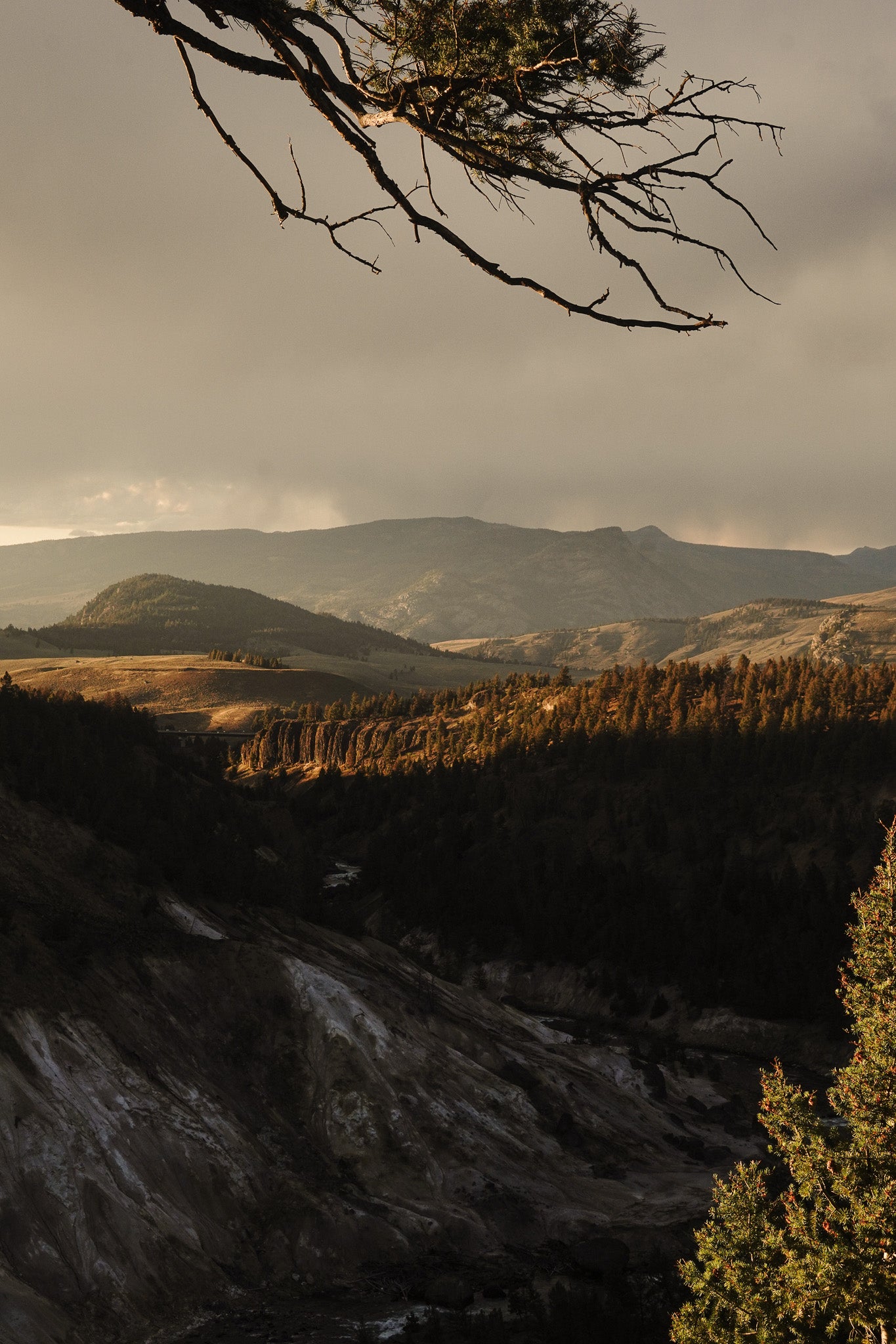 Yellowstone Landscapes