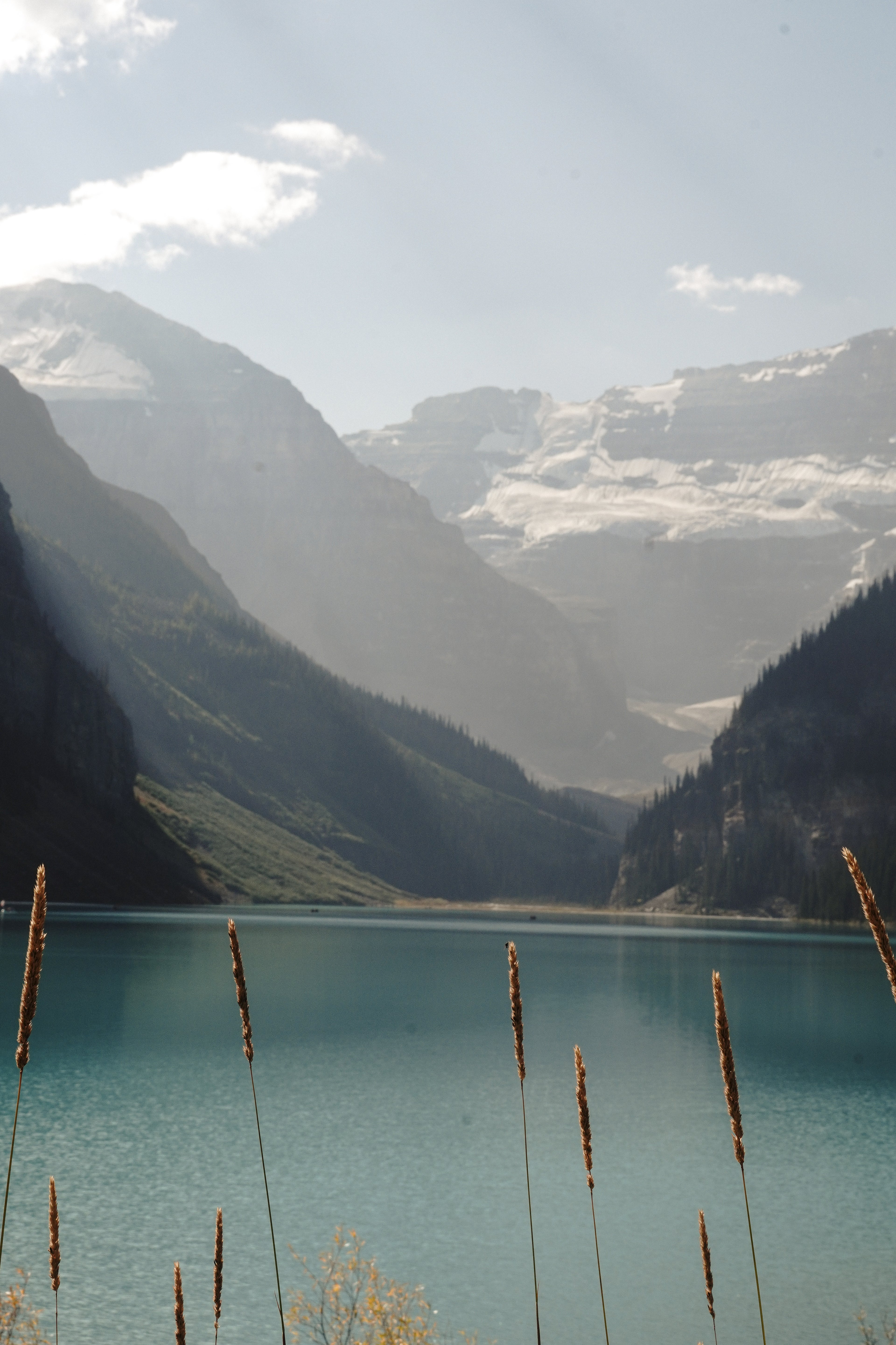 Lake Louise x Rockies