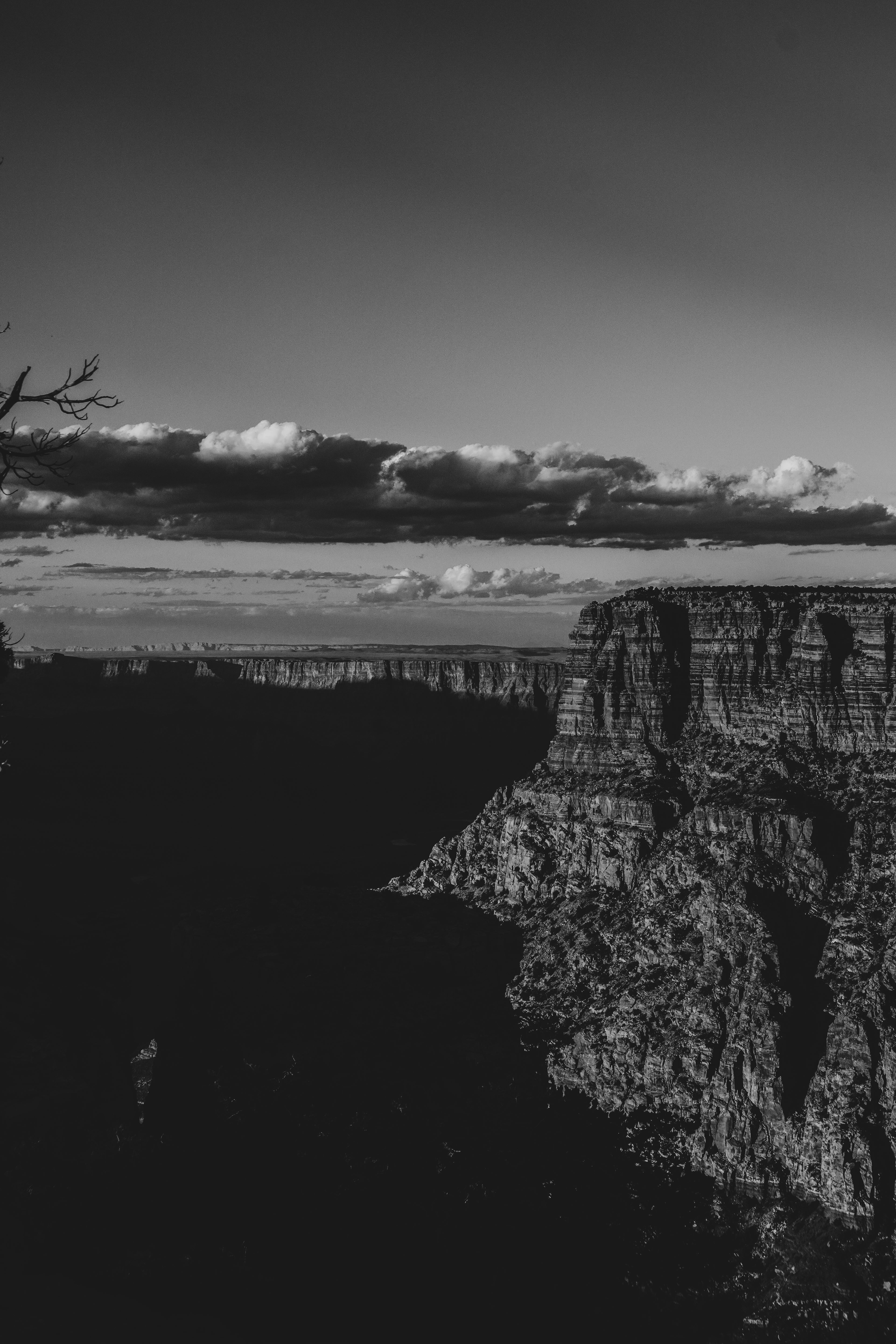 Canyon Portrait BW