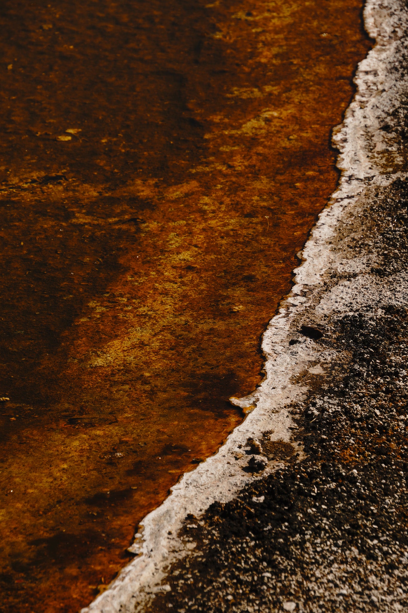 Yellowstone Contrasts